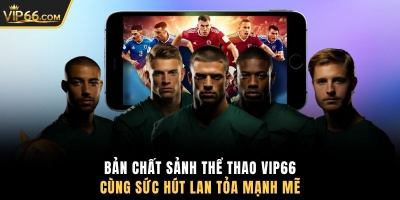 Bản chất sảnh thể thao VIP66 cùng sức hút lan tỏa mạnh mẽ