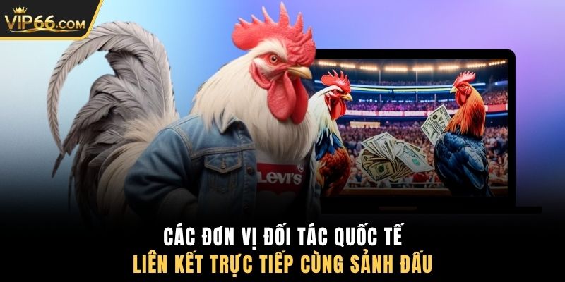 Các đơn vị đối tác quốc tế liên kết trực tiếp cùng sảnh đấu