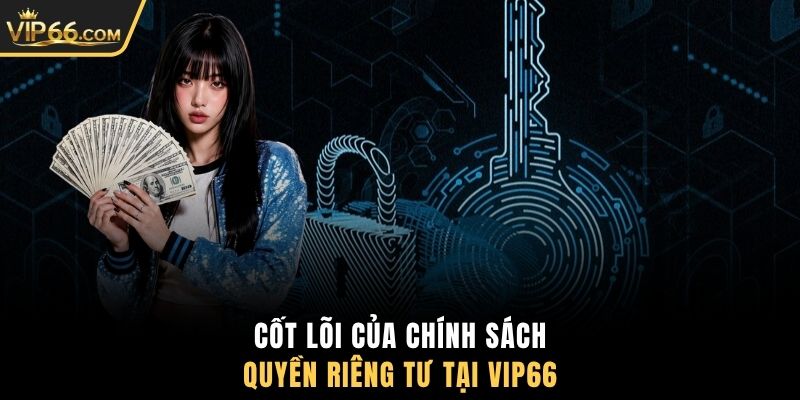 Cốt lõi của chính sách quyền riêng tư tại VIP66