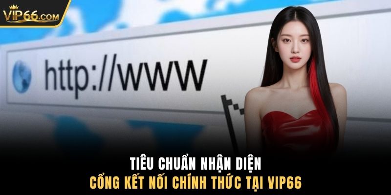 Tiêu chuẩn nhận diện cổng kết nối chính thức tại VIP66