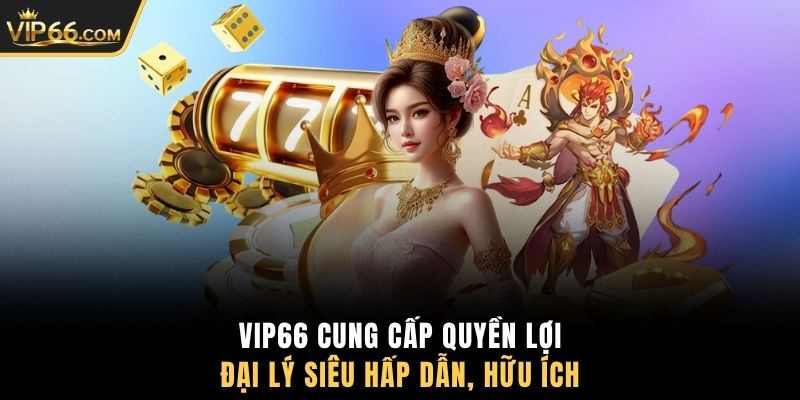 VIP66 cung cấp quyền lợi đại lý siêu hấp dẫn, hữu ích